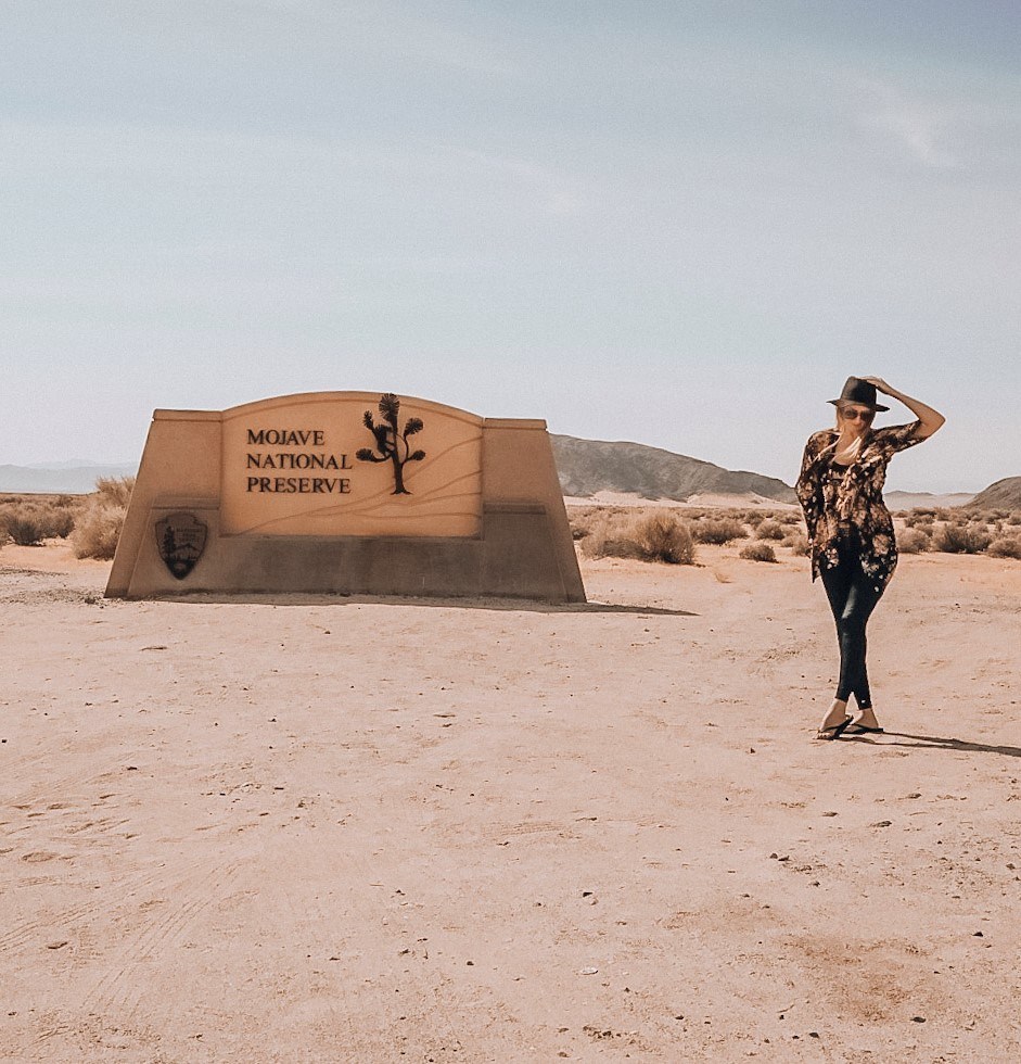 The Mojave National Preserve entry sign.