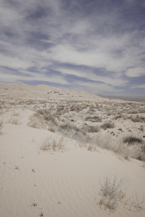 The sand and brush at Kelso Dunes.