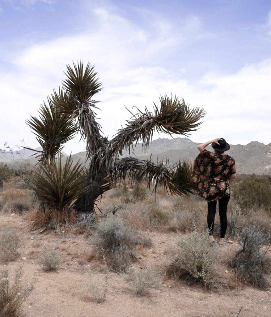 Monica in front of Joshua Trees and mountains in the Mojave National Preserve.