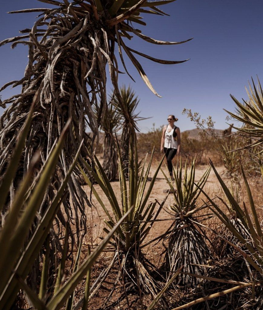 Hiking in Joshua Tree National Park.
