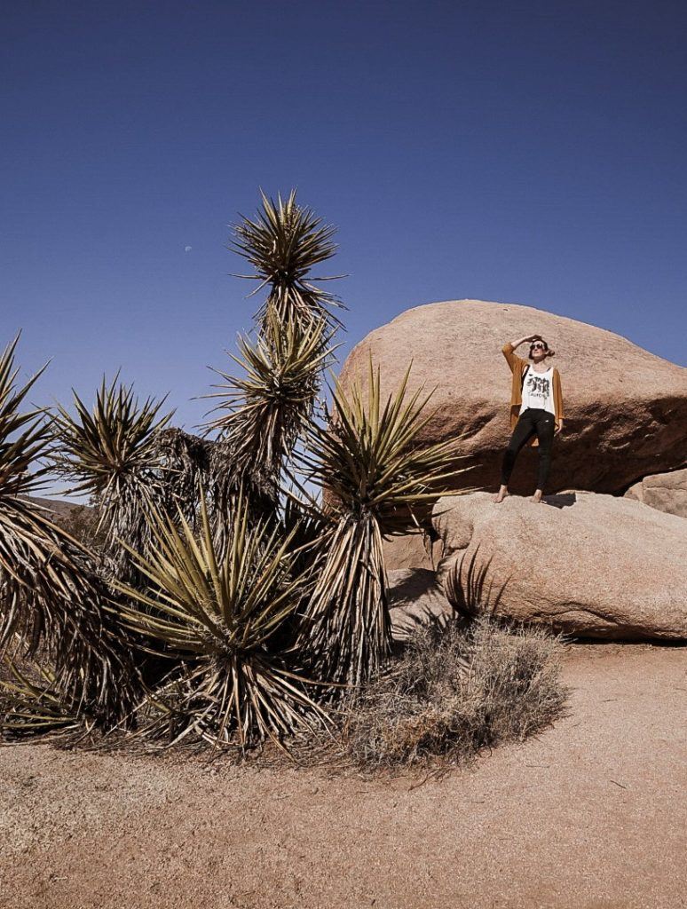 Exploring Joshua Tree National Park.