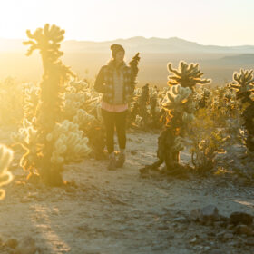 joshua tree national park things to do