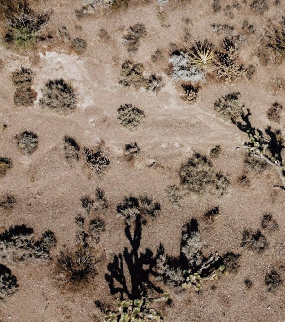 The rugged Mojave Desert floor.