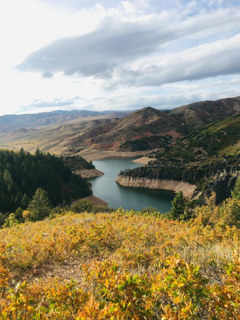 Uinta-Wasatch-Cache National Forest