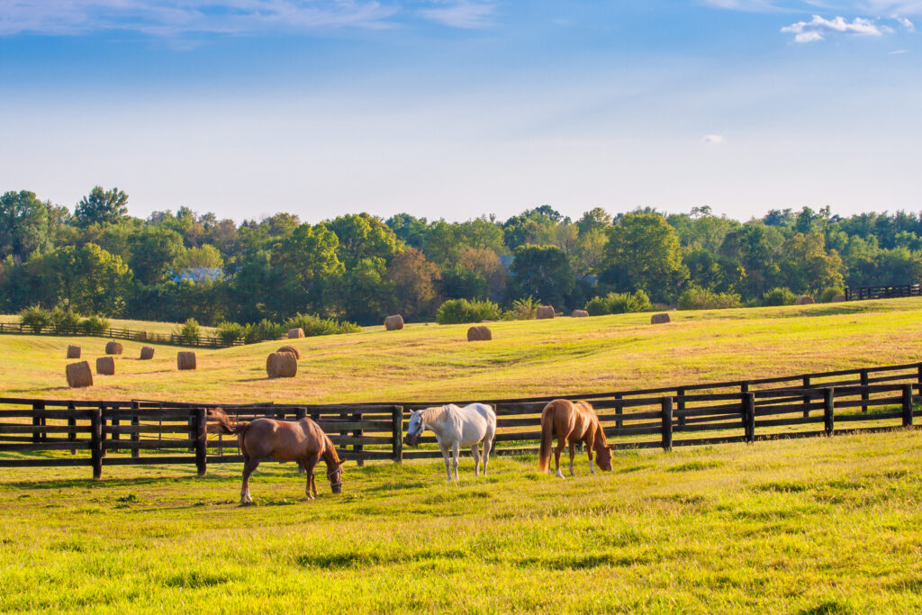 places to visit near lexington ky