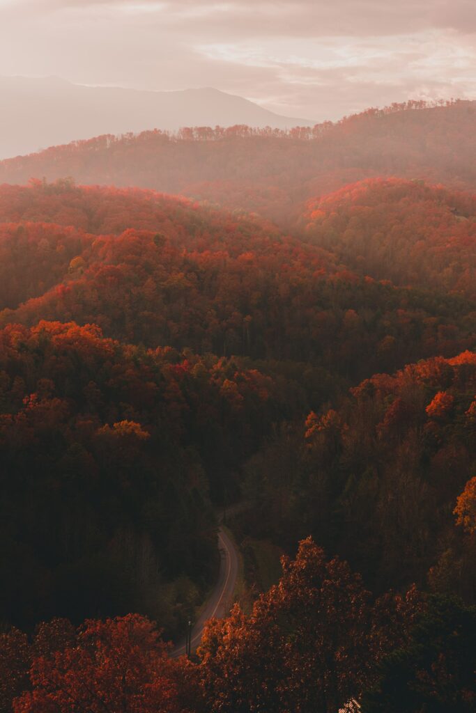 Great Smoky Mountains National Park, Tennessee.