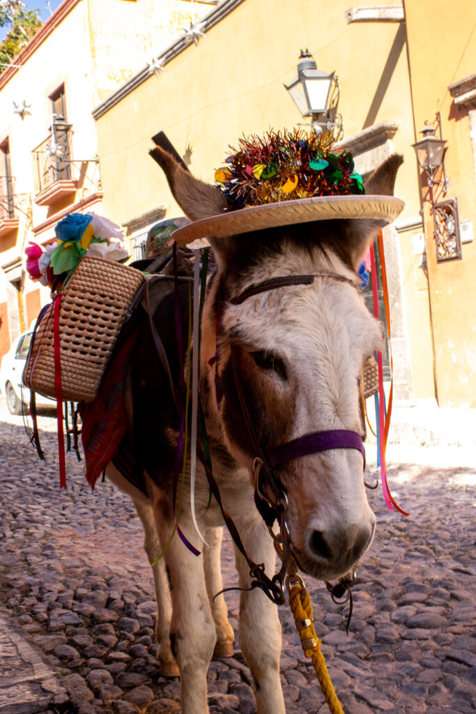 solo female travel mexico 2022