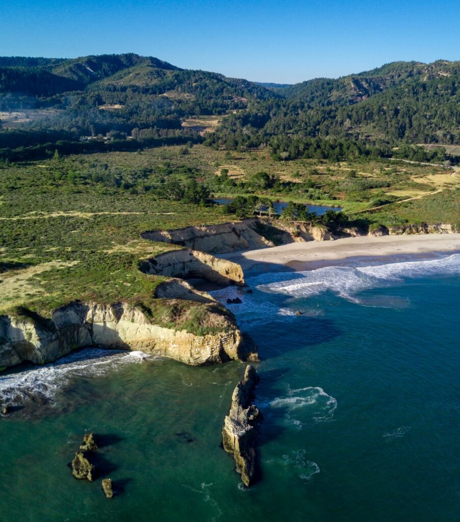 Año Nuevo State Park