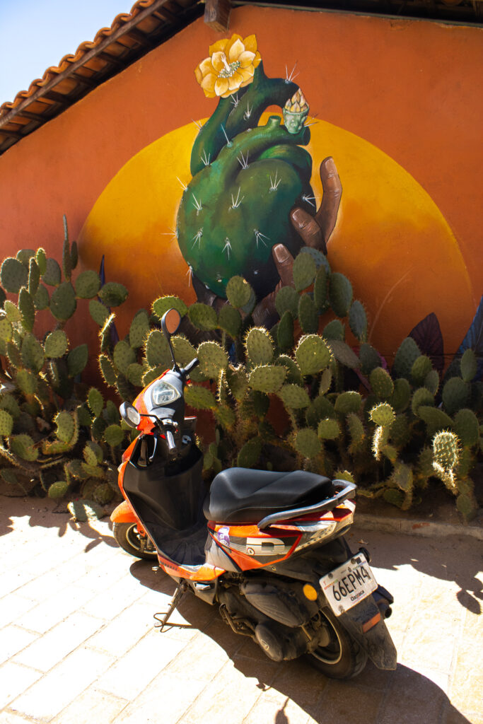 Playa Zipolite Beach in Mexico