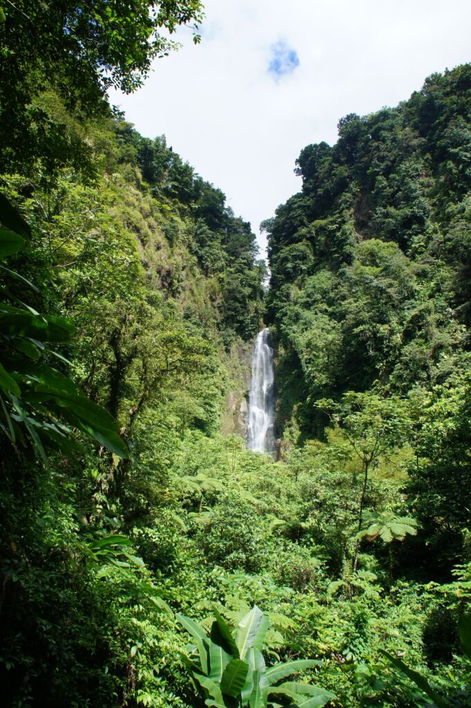 dominica best caribbean islands