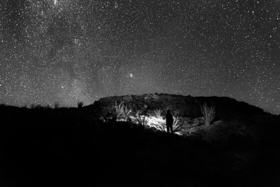 Milky Way big bend national park