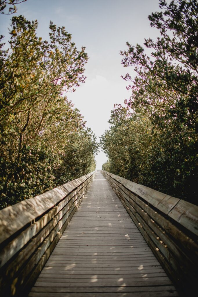 South Padre Island, Texas