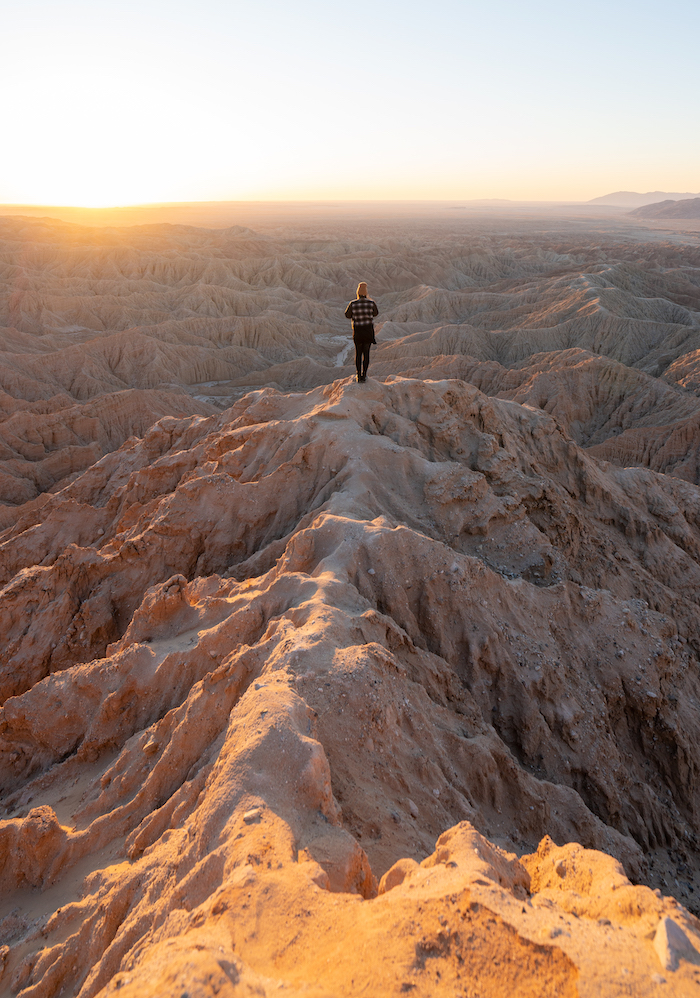 Anza-Borrego Desert State Park’s Best Things to Do