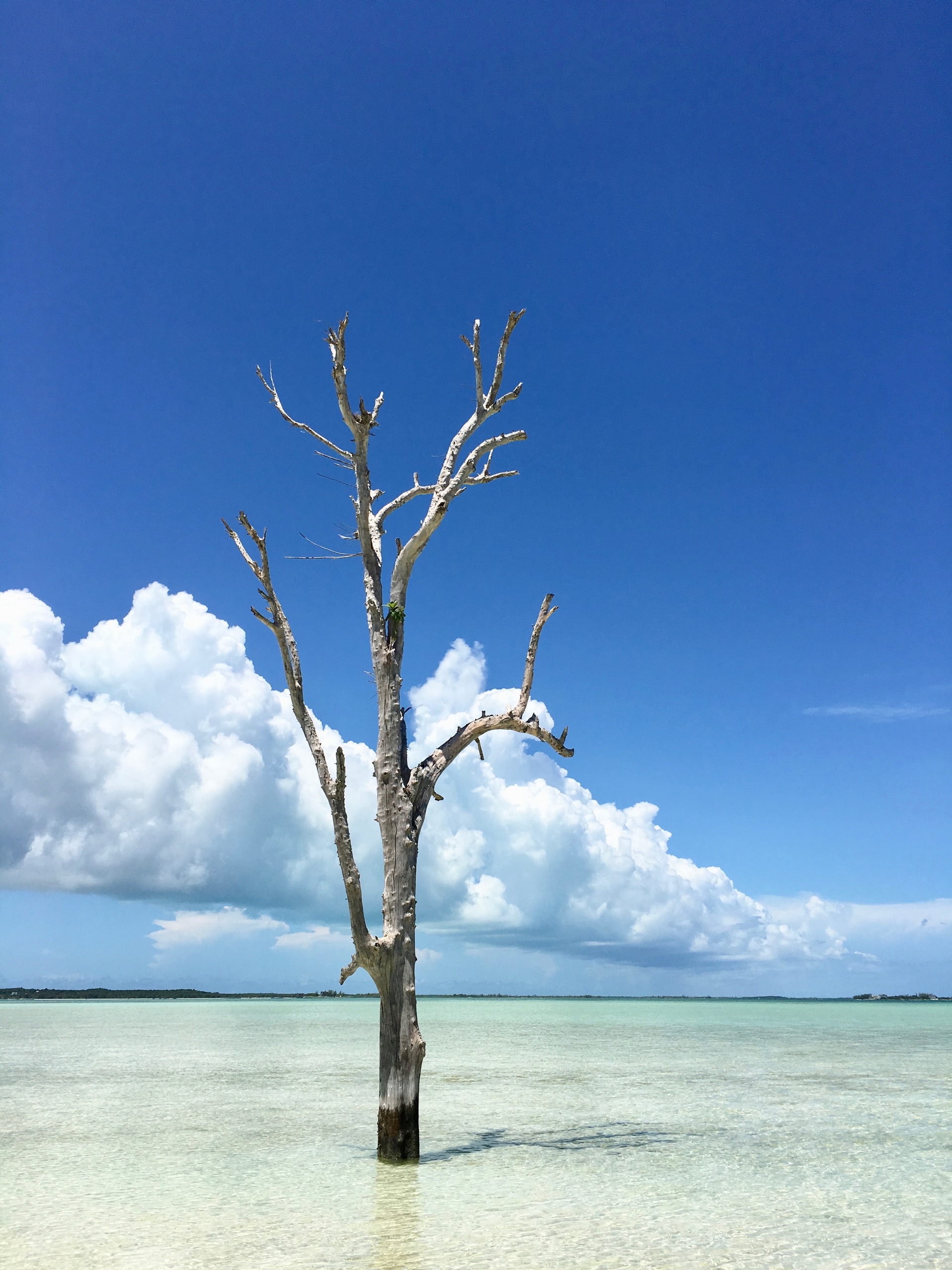 The Top 21 Things to Do in the Bahamas - Be My Travel Muse
