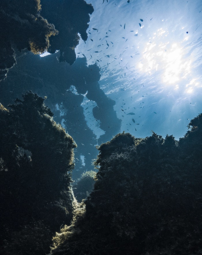 micronesia diving
