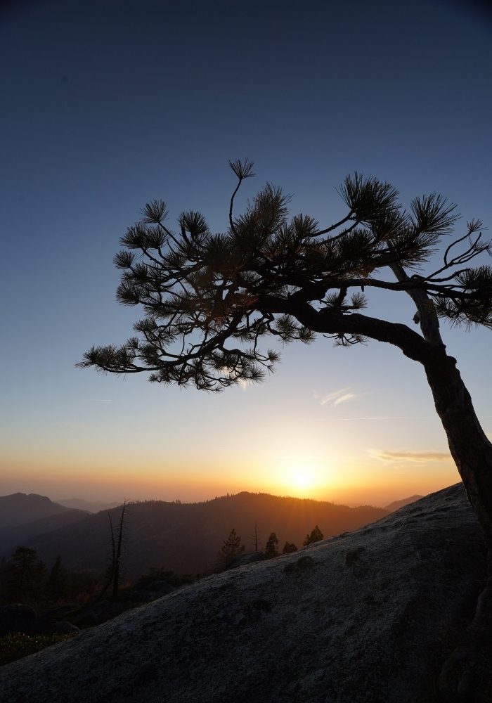 Watching a sunset at Beetle Rock, one of the top things to see in Sequoia and Kings Canyon National Parks.