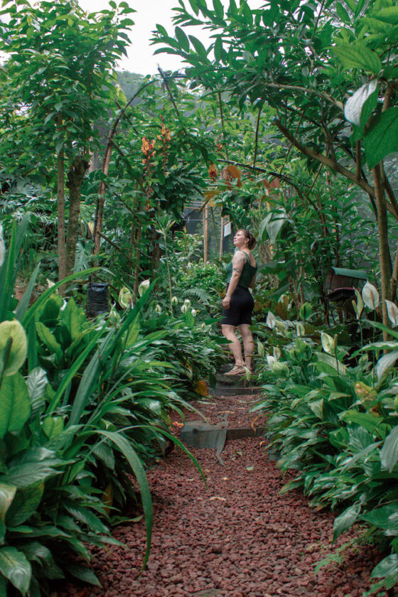 How to Spend 48 Hours in San José, Costa Rica