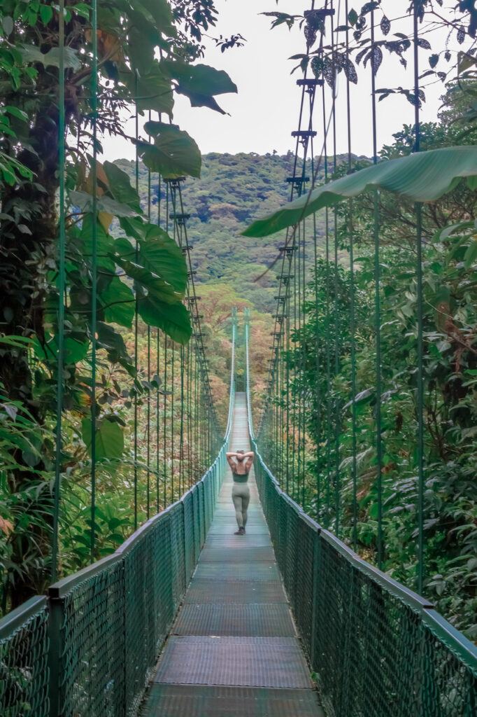 Monteverde Cloud Forest in Costa Rica