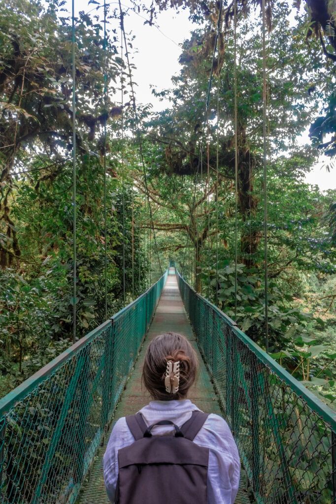 Monteverde Cloud Forest in Costa Rica