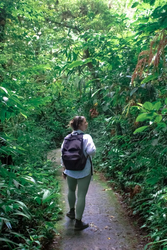 Monteverde Cloud Forest in Costa Rica