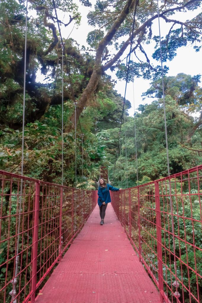 Monteverde Cloud Forest in Costa Rica