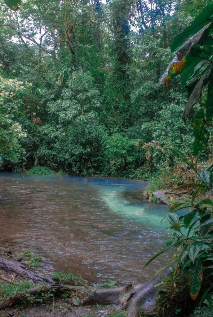 tour catarata la fortuna