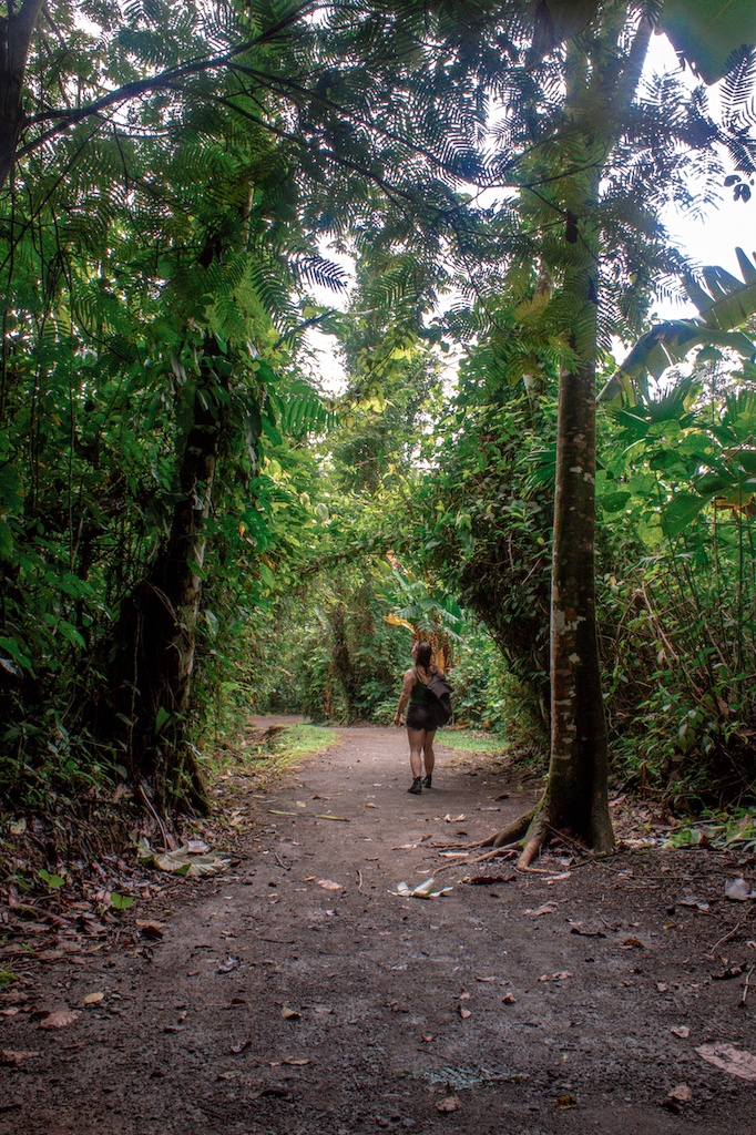 tour catarata la fortuna