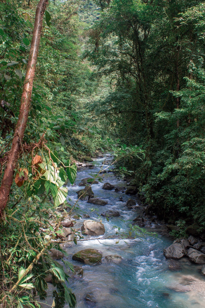 tour catarata la fortuna