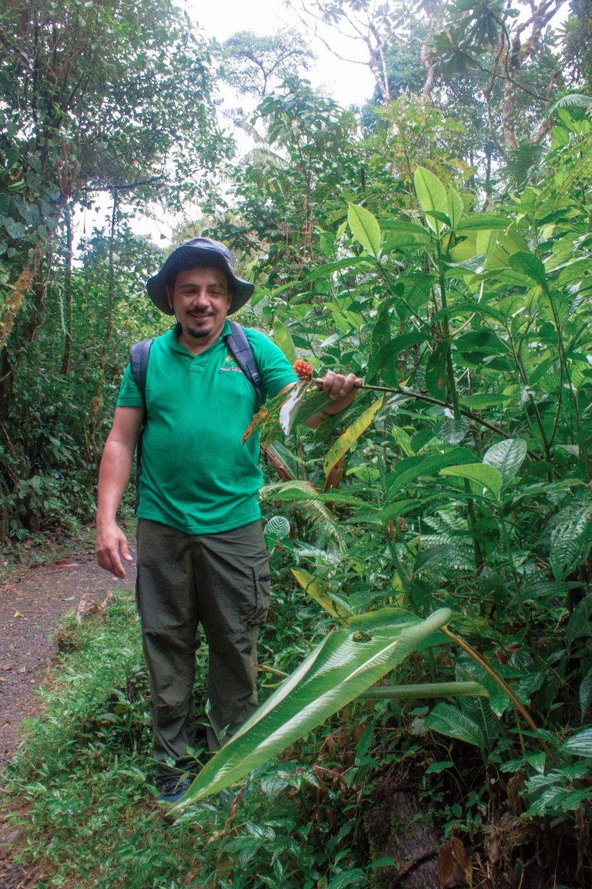 tenorio volcano national park