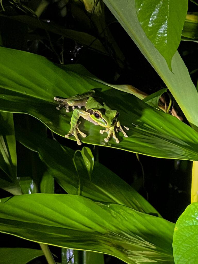 case study manuel antonio national park costa rica