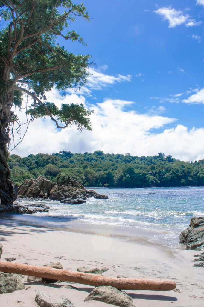 case study manuel antonio national park costa rica