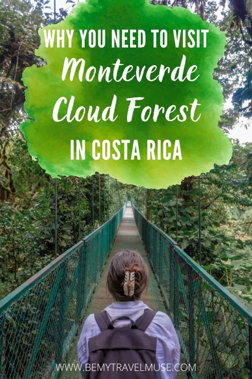 Monteverde Cloud Forest in Costa Rica