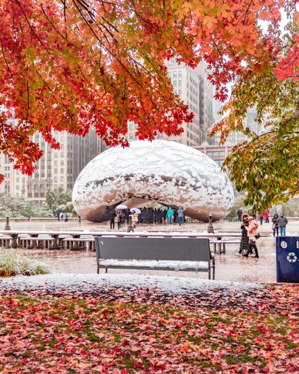 The Best Time to Visit Chicago for Every Traveler - Be My Travel Muse