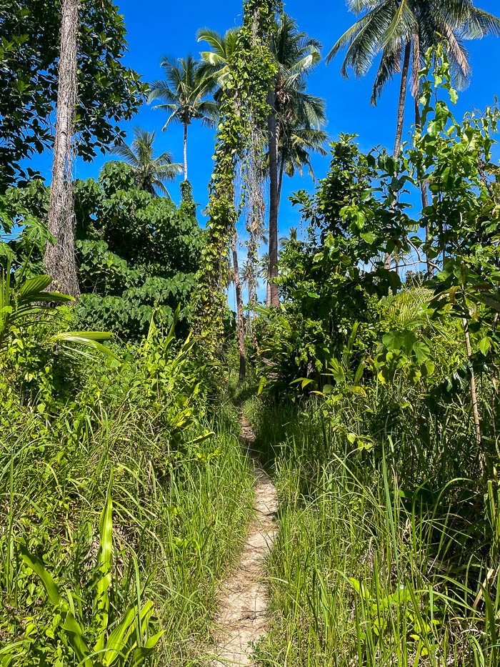 Dryft Darocotan Island