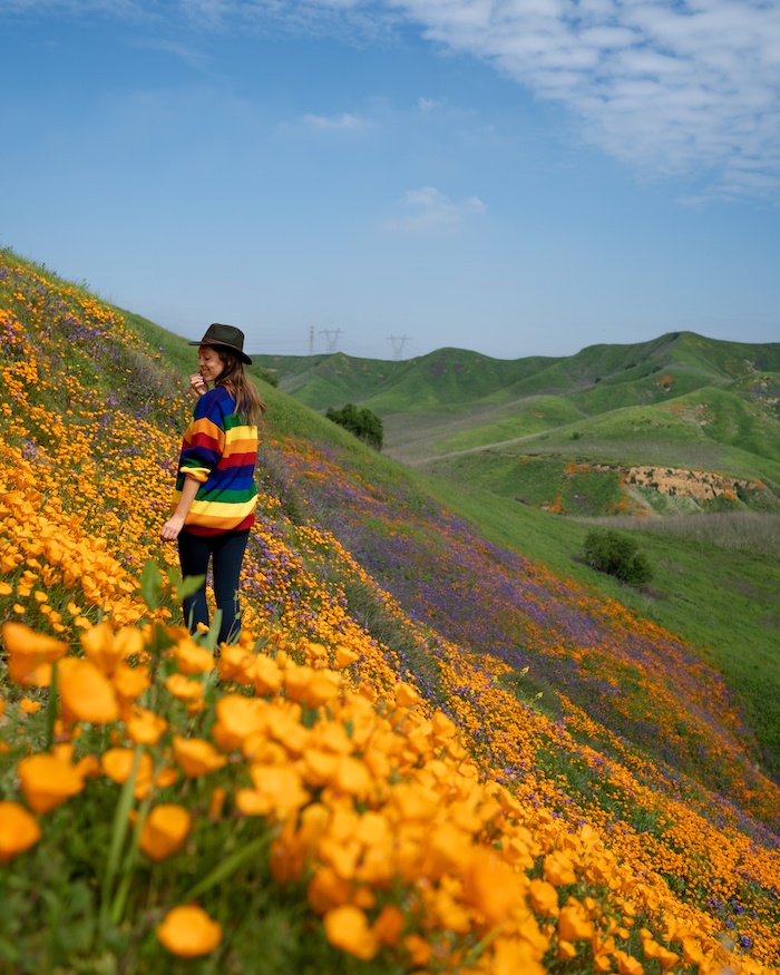 California  flowers