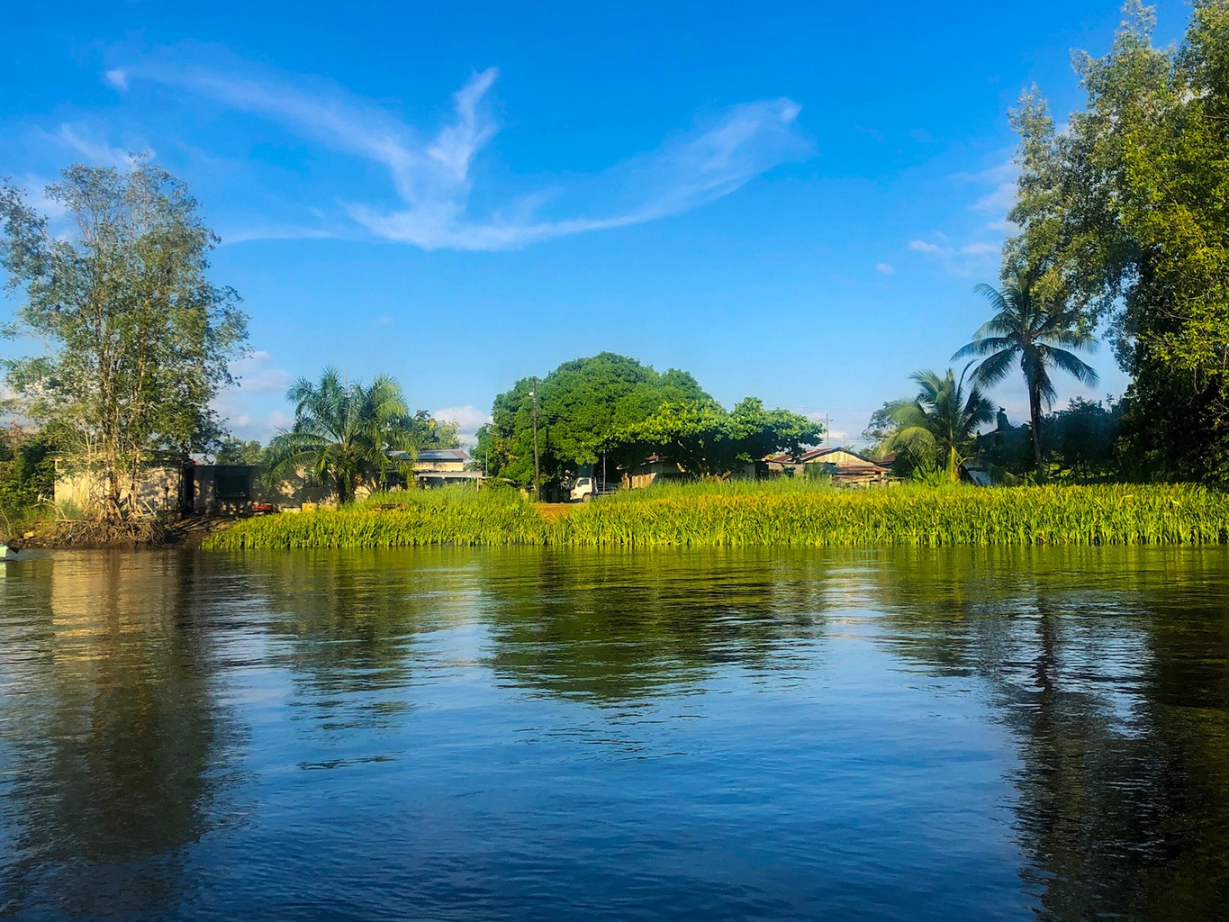 2023 Guide to Corcovado National Park (7 Things to Know!) 2023 Guide to Corcovado National Park (7 Things to Know!)