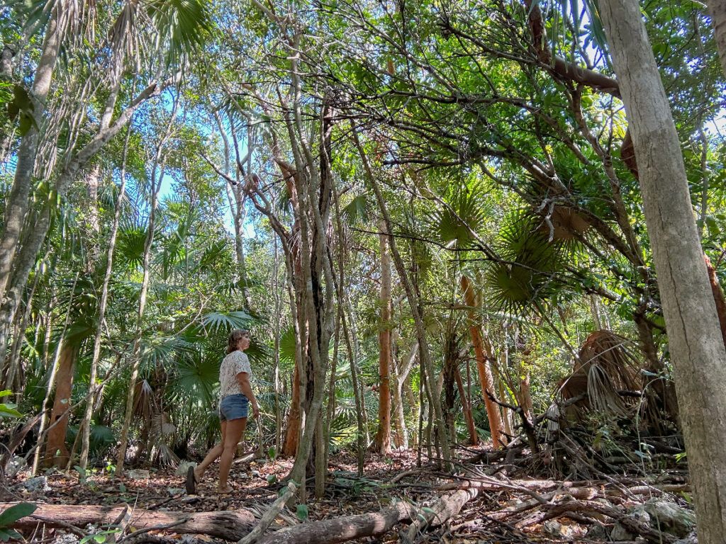 Hiking in marathon florida things to do in marathon Florida