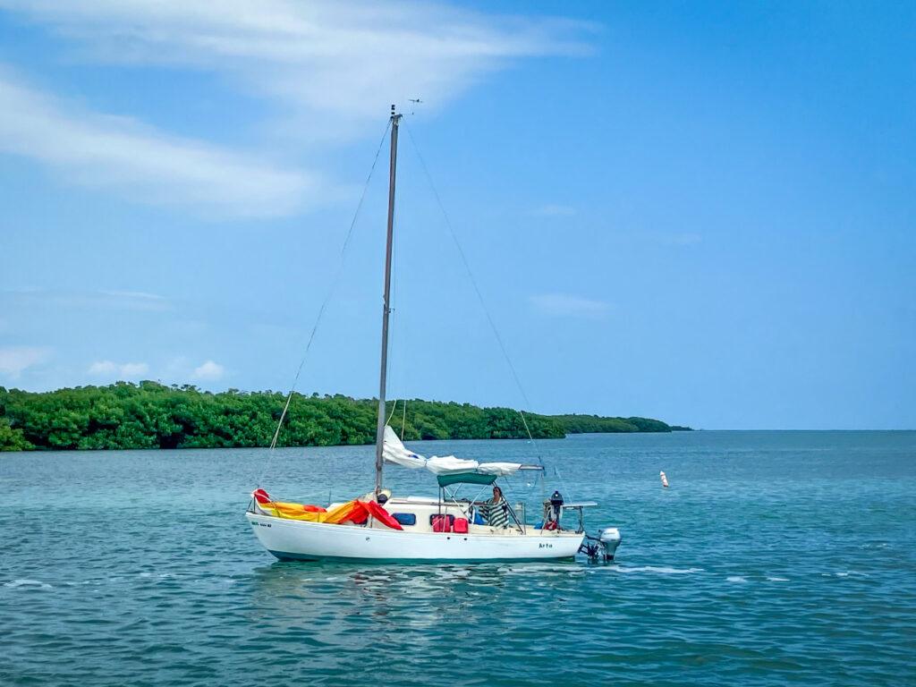 Things to do in islamorada  eco-tours islamorada Arta sailboat things to do in Islamorada