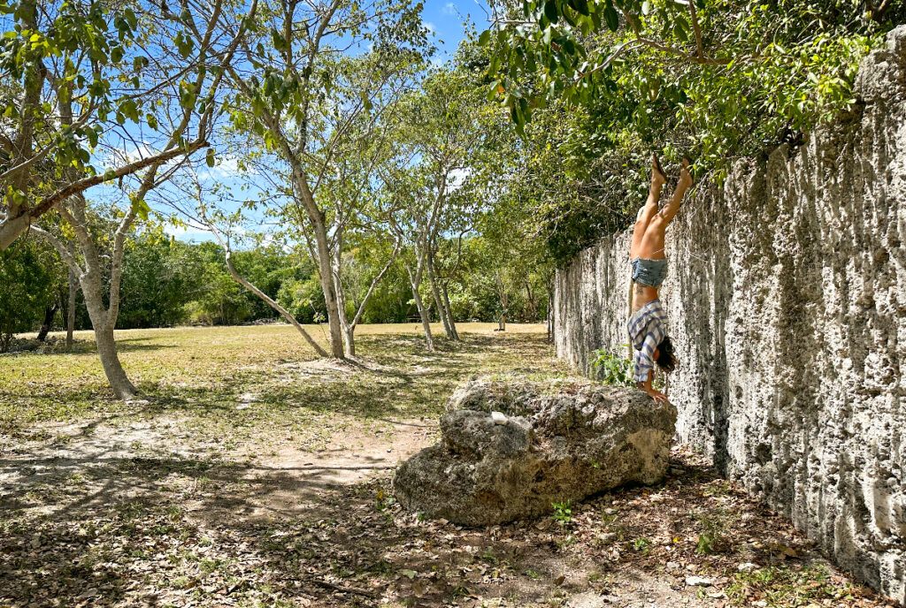 Things to do in islamorada  windley key fossil reef geological state park rock quarry islamorada things to do