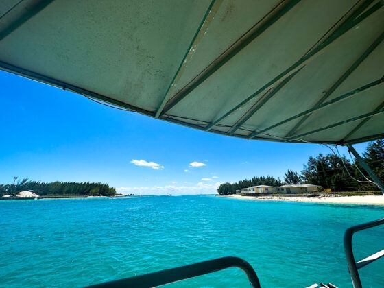 things to do bimini bahamas
