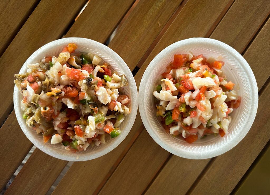 Conch salad Bimini Bahamas things to do in Bimini Bahamas 