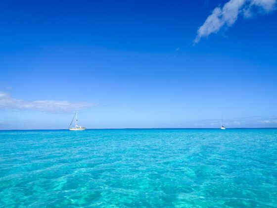 20 Magical Things to Do in Bimini, Bahamas