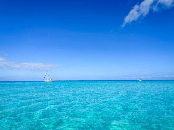 things to do bimini bahamas