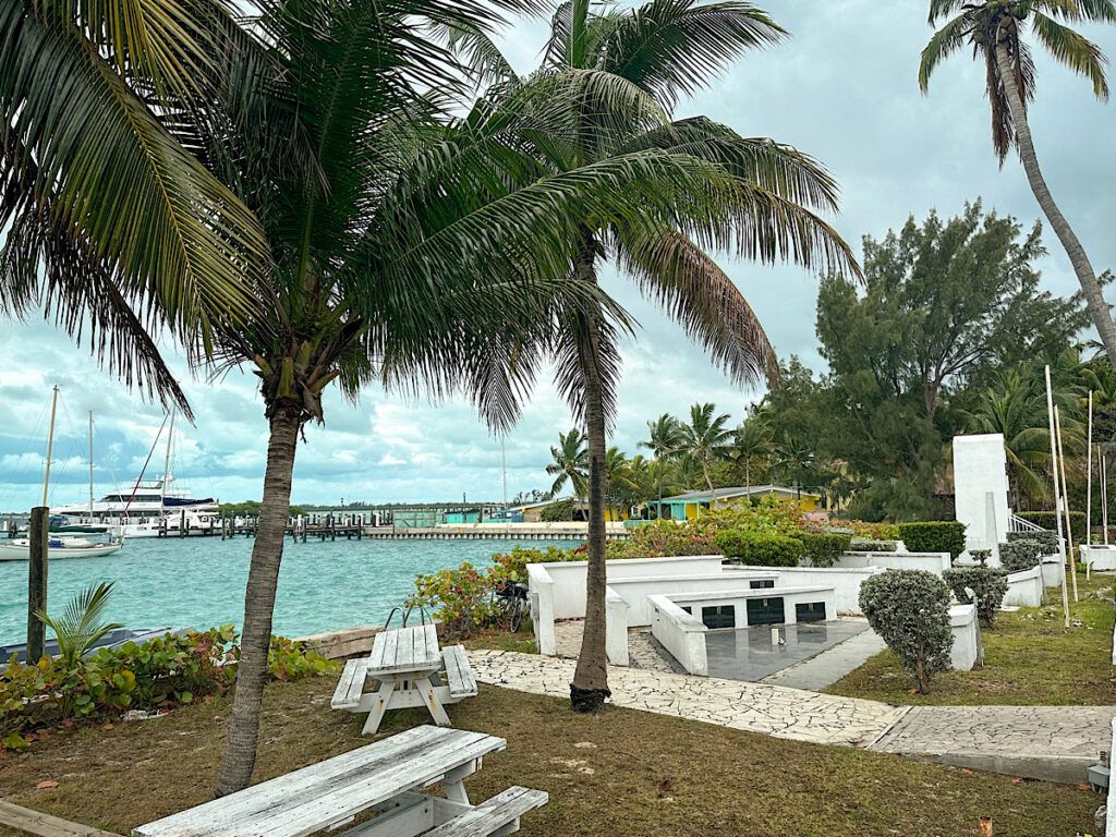 things to do in bimini bahamas
