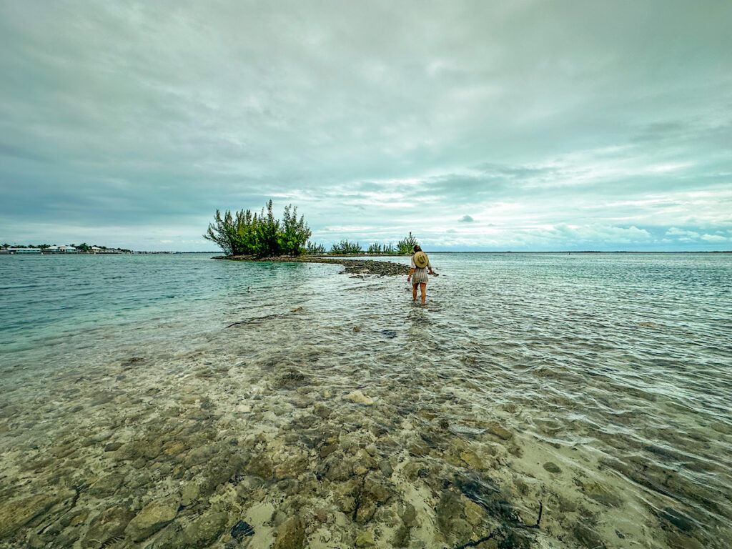 things to do bimini bahamas