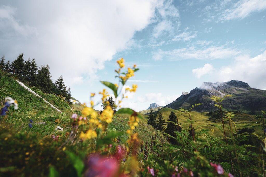 best places to travel in June Austria 