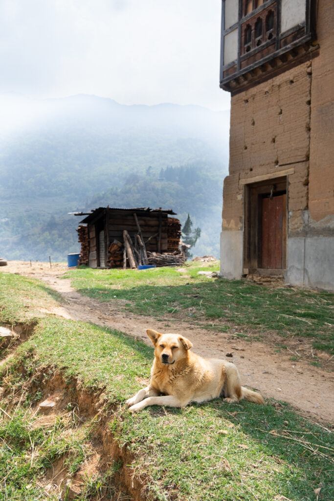 tourist guide in bhutan