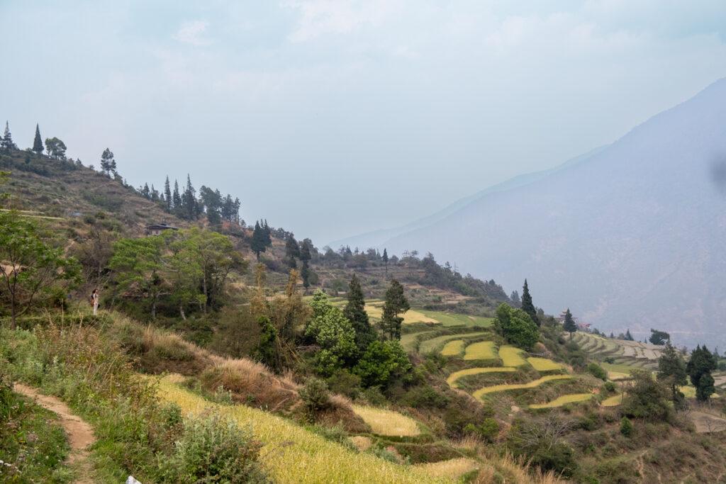 tourist guide in bhutan