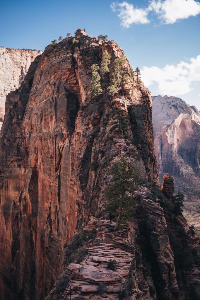 things to do in Zion national park