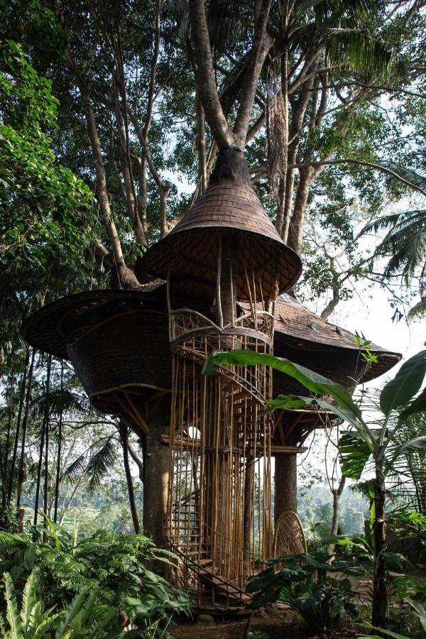 best luxury hotels in ubud